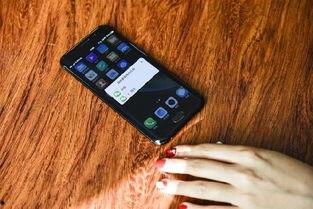 手机看片国产免费,国产免费大片一网打尽